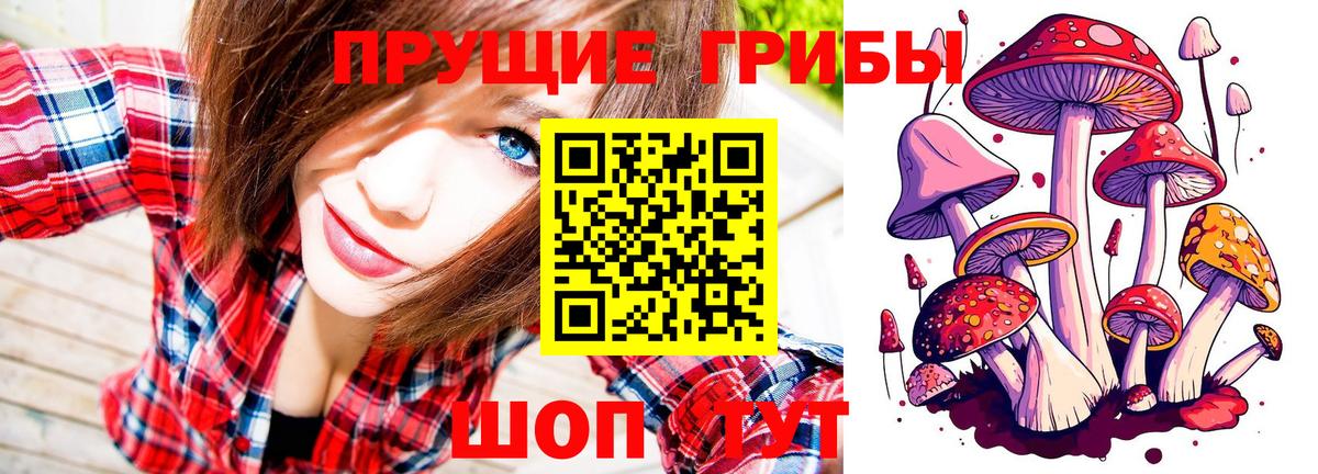 Псилоцибиновые грибы мицелий  Вход с VPN  Чехов 